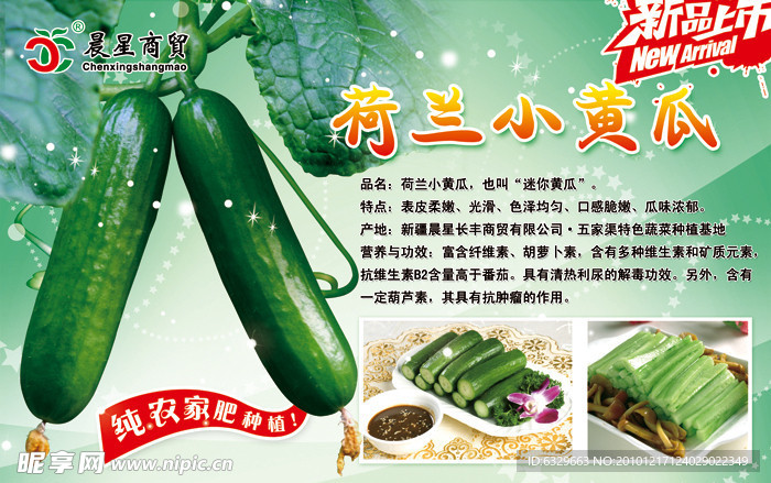 荷兰小黄瓜宣传牌