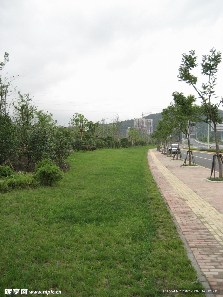 冠山隧道绿化景观照片