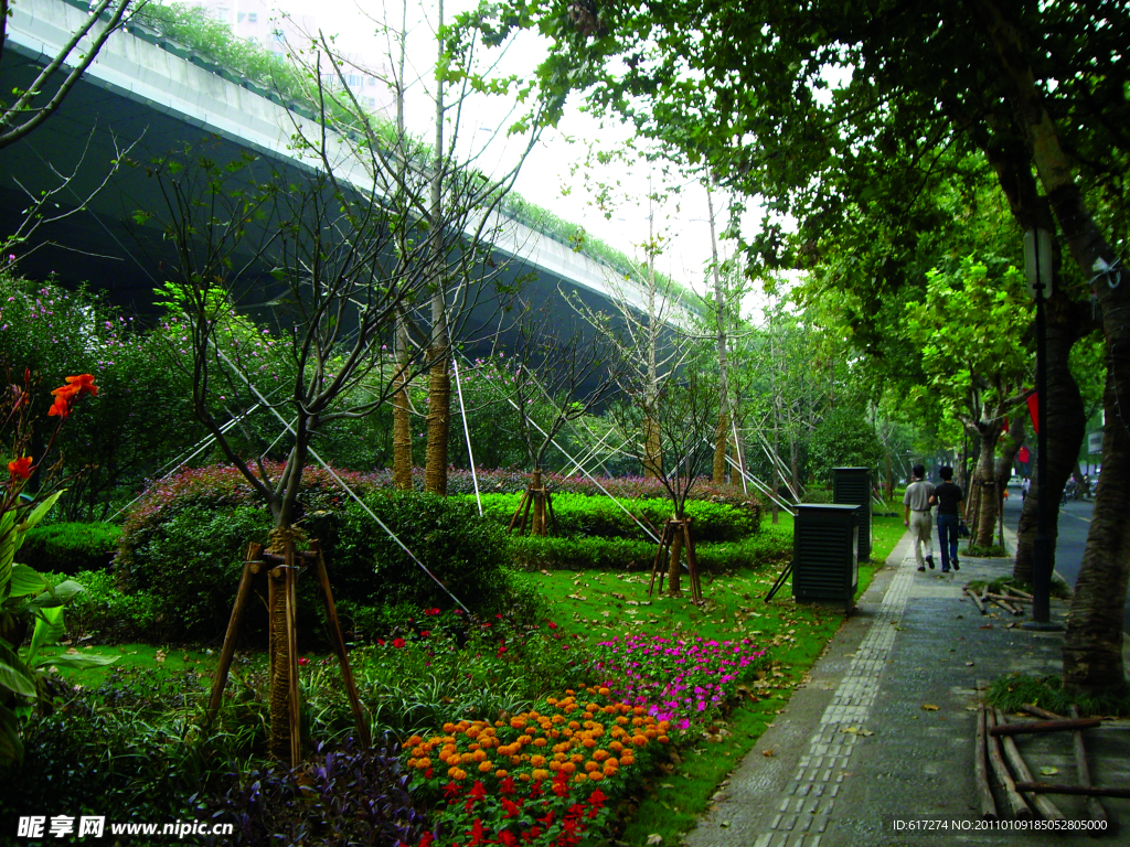 2009道路绿化优胜奖中山路绿化整治