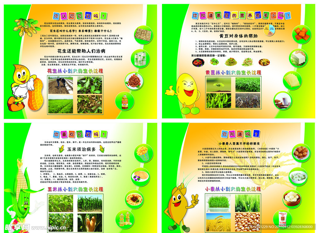 农作物宣传展板