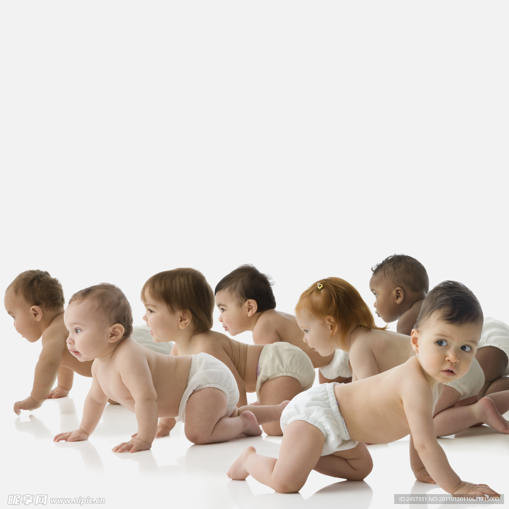 一群趴着的婴儿宝宝
