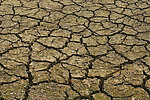 干旱