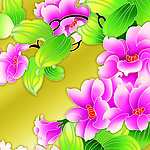 彩色花朵分层图