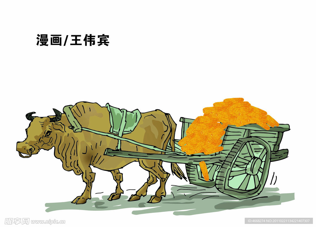 黄牛拉玉米