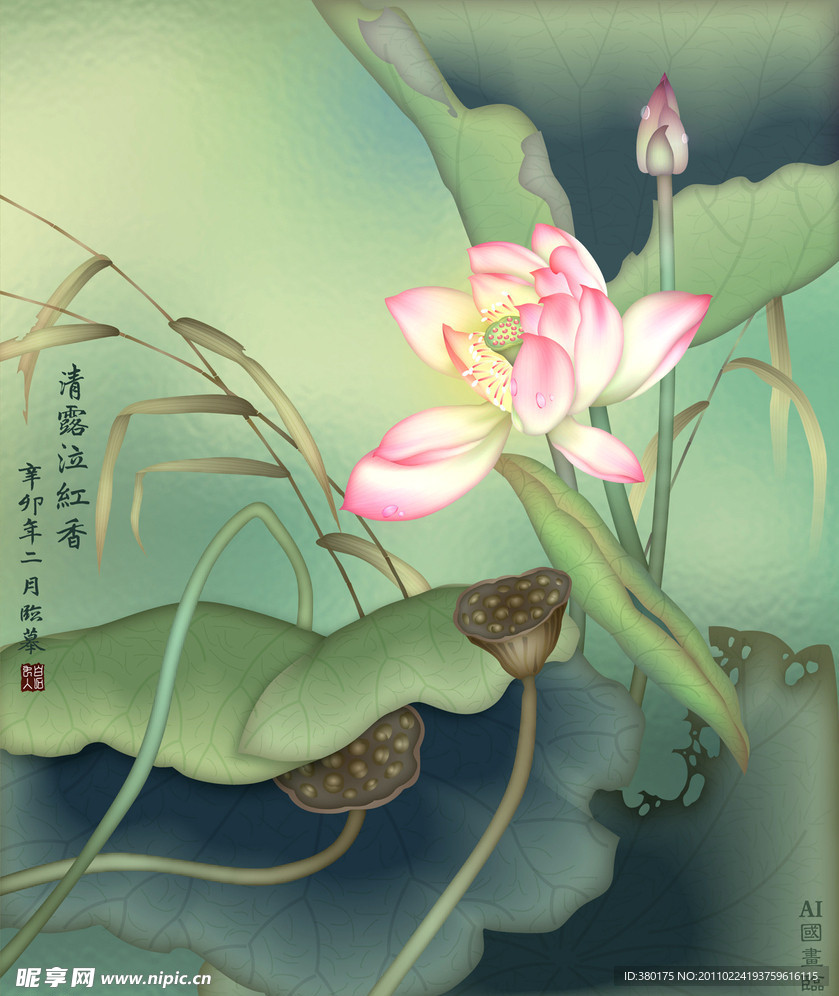 荷花 清露泣香红