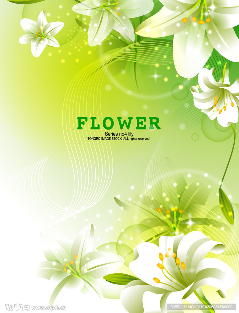 时尚花卉矢量素材