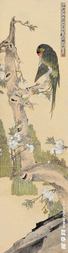 鹦鹉 古画
