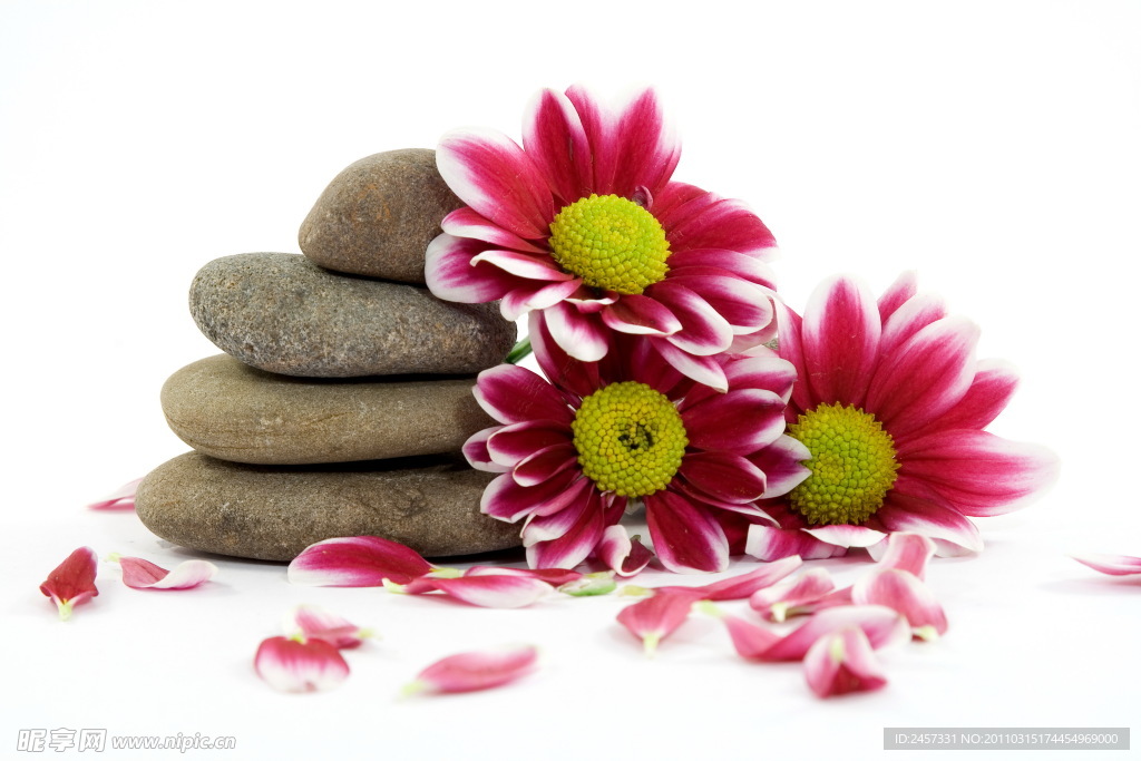 超大高清美容禅石鲜花