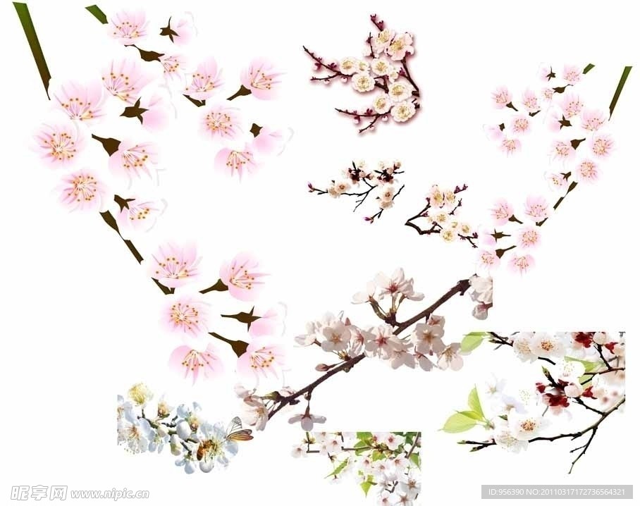 梅花素材合集