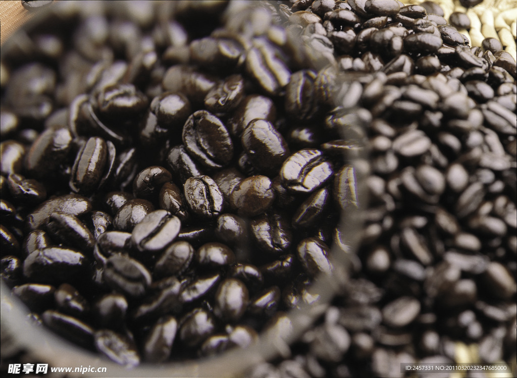 放大镜下的咖啡豆