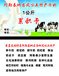 牛奶名片