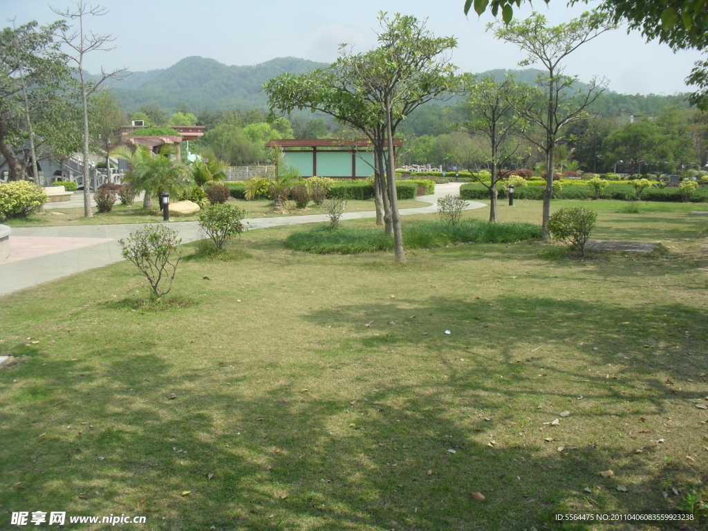 东莞市塘厦镇大坪嶂森林公园