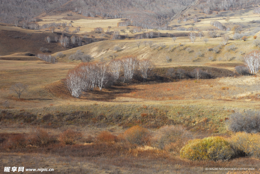 内蒙古坝上草原