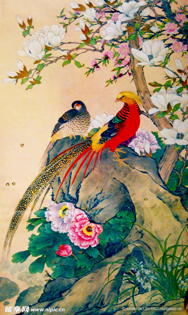 百花齐放春满园