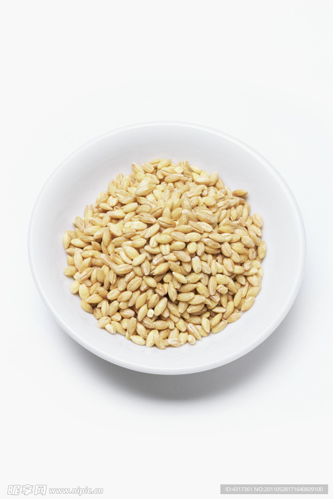 小麦高清图片