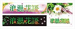 浪漫花语 招牌 花