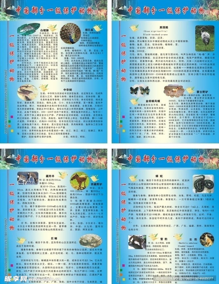 中国部分一级保护动物