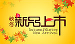 秋冬新品上市