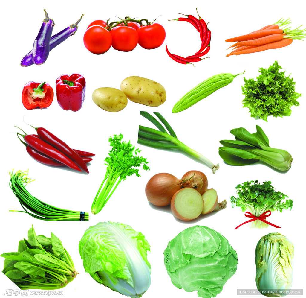 蔬菜图片大全