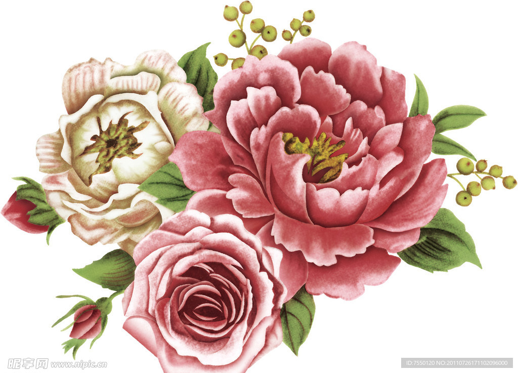 粉玫瑰(通道分层)