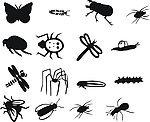 昆虫矢量