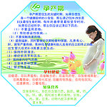 孕产期知识展板