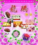 婚庆展板