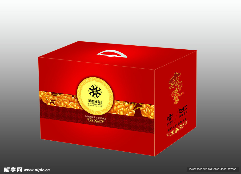 彩盒包装 （展开图）