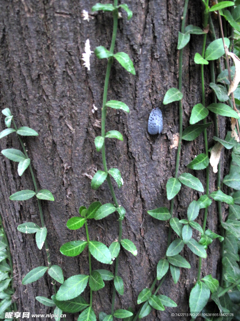 戚墅堰圩墩公园