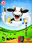 庄园谷粹牛奶牛奶篇