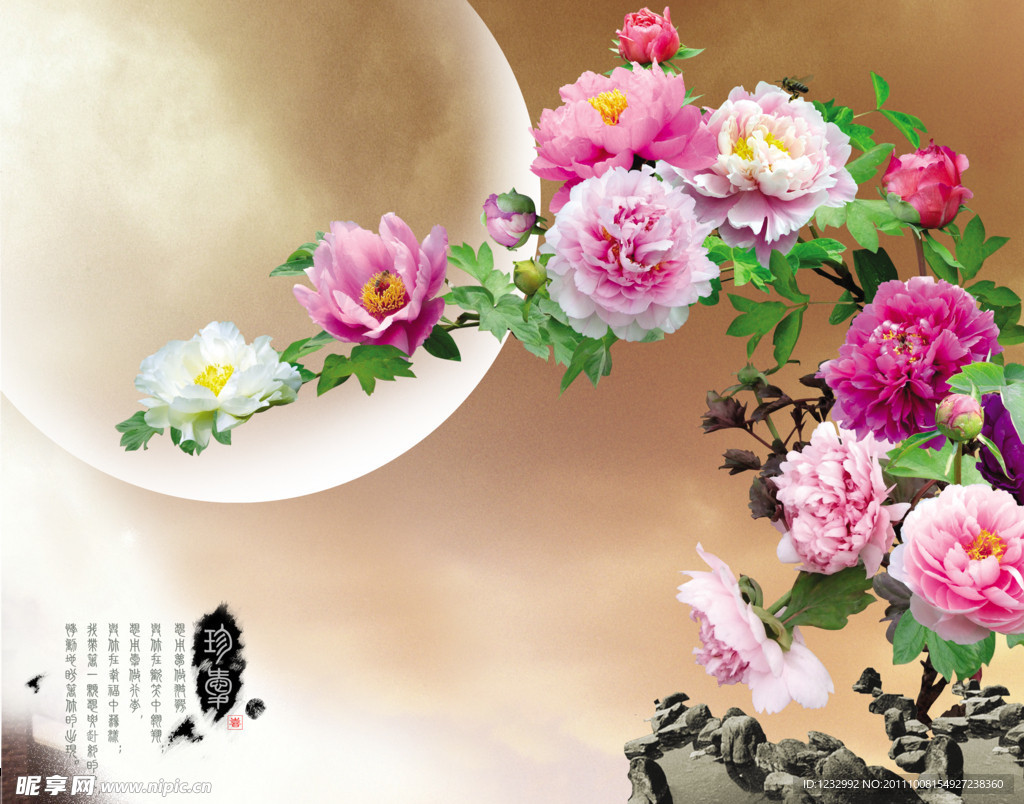 国色天香牡丹图