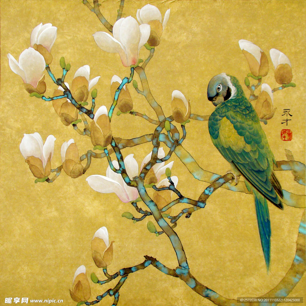 木兰花开引鸟来