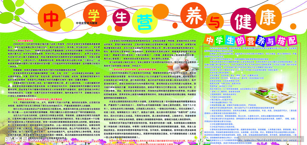 中学生营养与健康知识展板