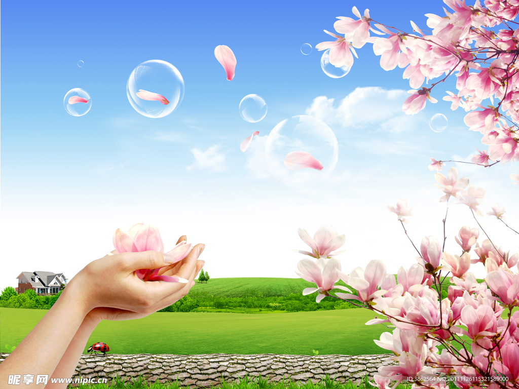 蓝天白云桃花风景