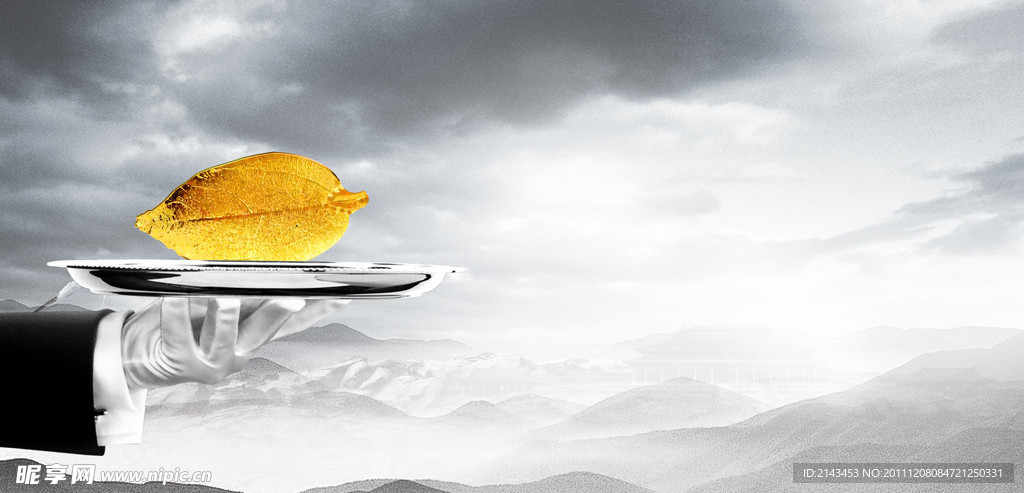 暗银色风格 金叶 托盘