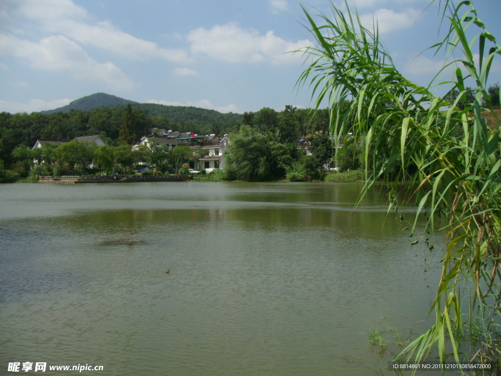 三台云水 鸳鸯戏水