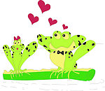 相爱的青蛙
