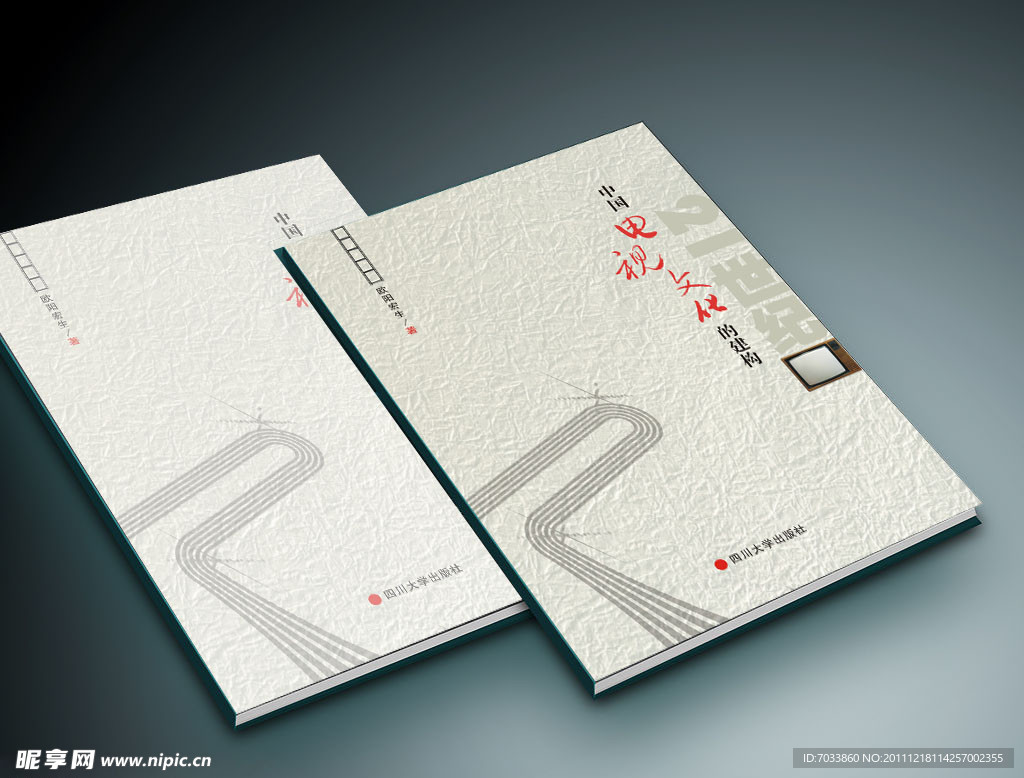 21世纪中国电视文化的建构