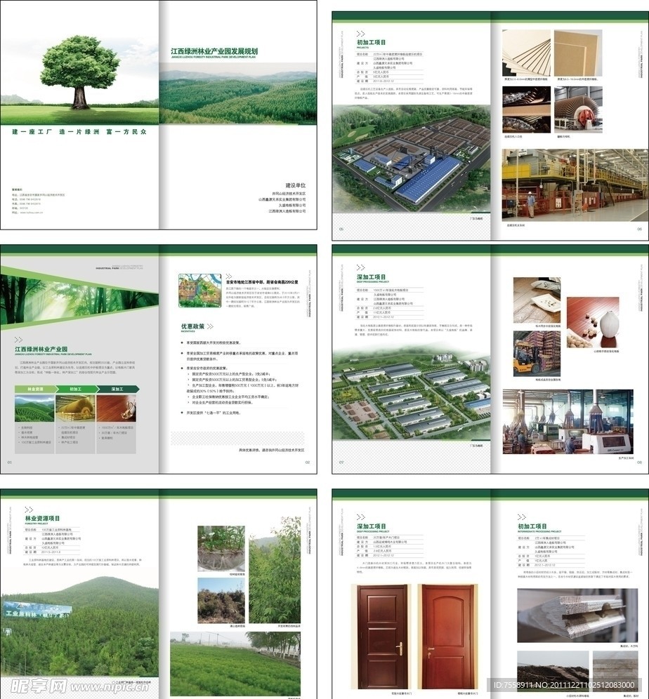 绿洲林业样本画册设计