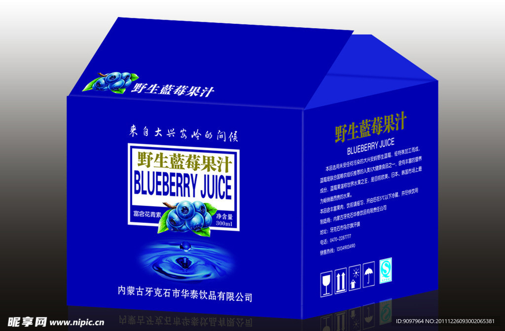 蓝莓箱（展开图）