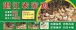 湛江农家鸡招牌