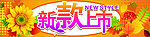 新款上市