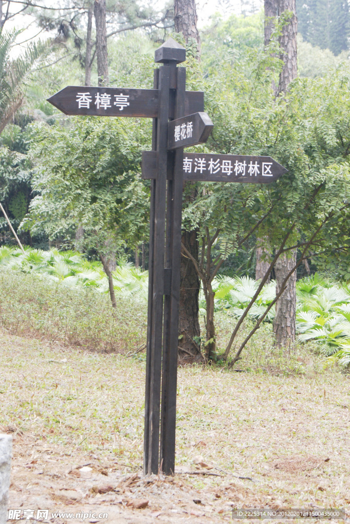 公园里的方向牌 木方向牌