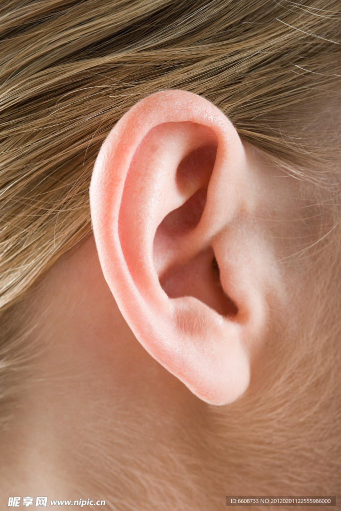 女人耳朵