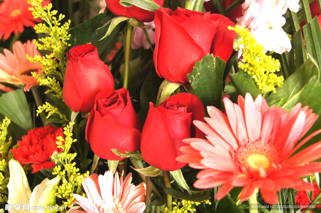 情人节花束（高精）