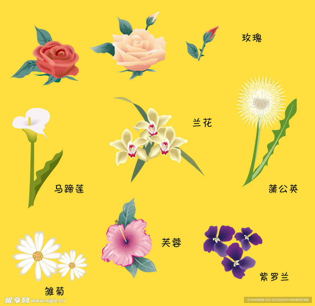 漂亮花矢量