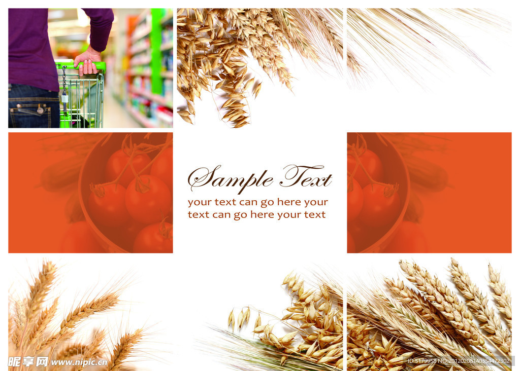 食品折页 三折页