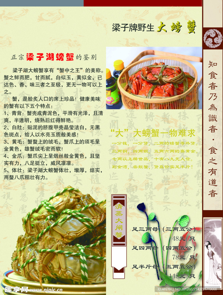 螃蟹画册内页
