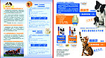 宠物保健品宣传单