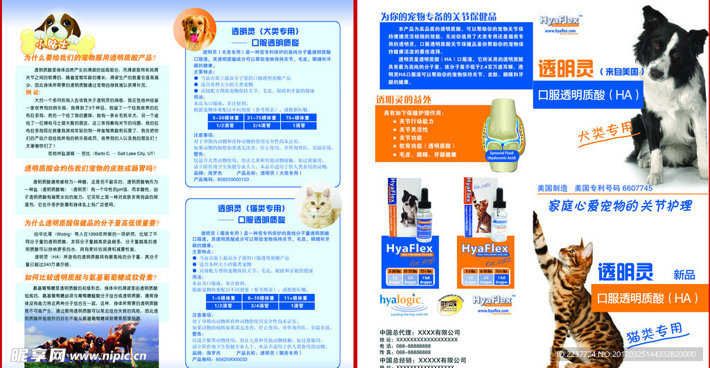 宠物保健品宣传单
